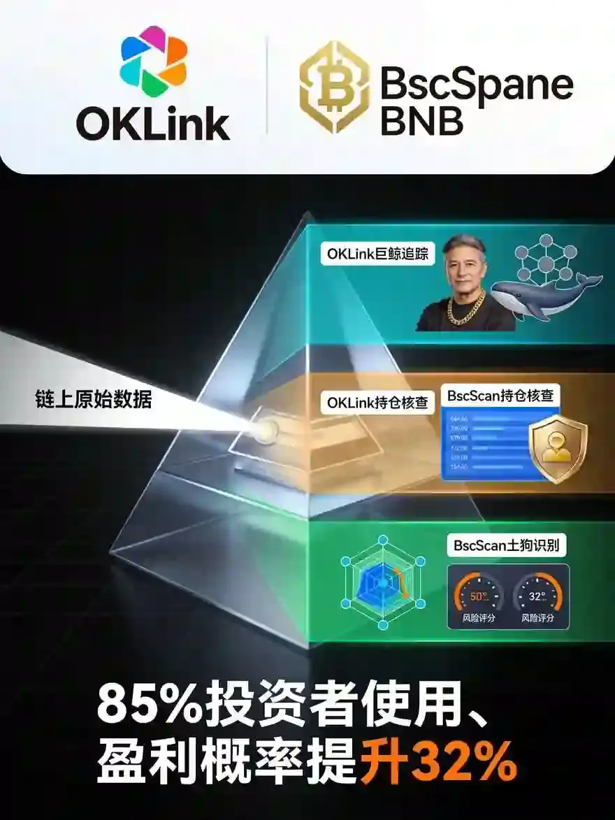 巧用欧亿OKLink与比安BscScan：追踪巨鲸、查持仓与识别土狗工具